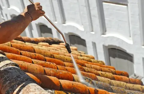 Nettoyage de toitures - Revel